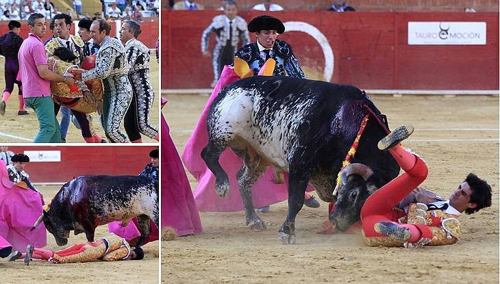 Matador Spanyol Tewas Ditanduk Banteng